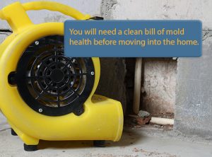 Mold Inspections are one of 8 things your home inspector won't check.