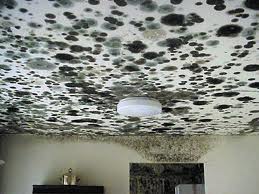 mold ceiling